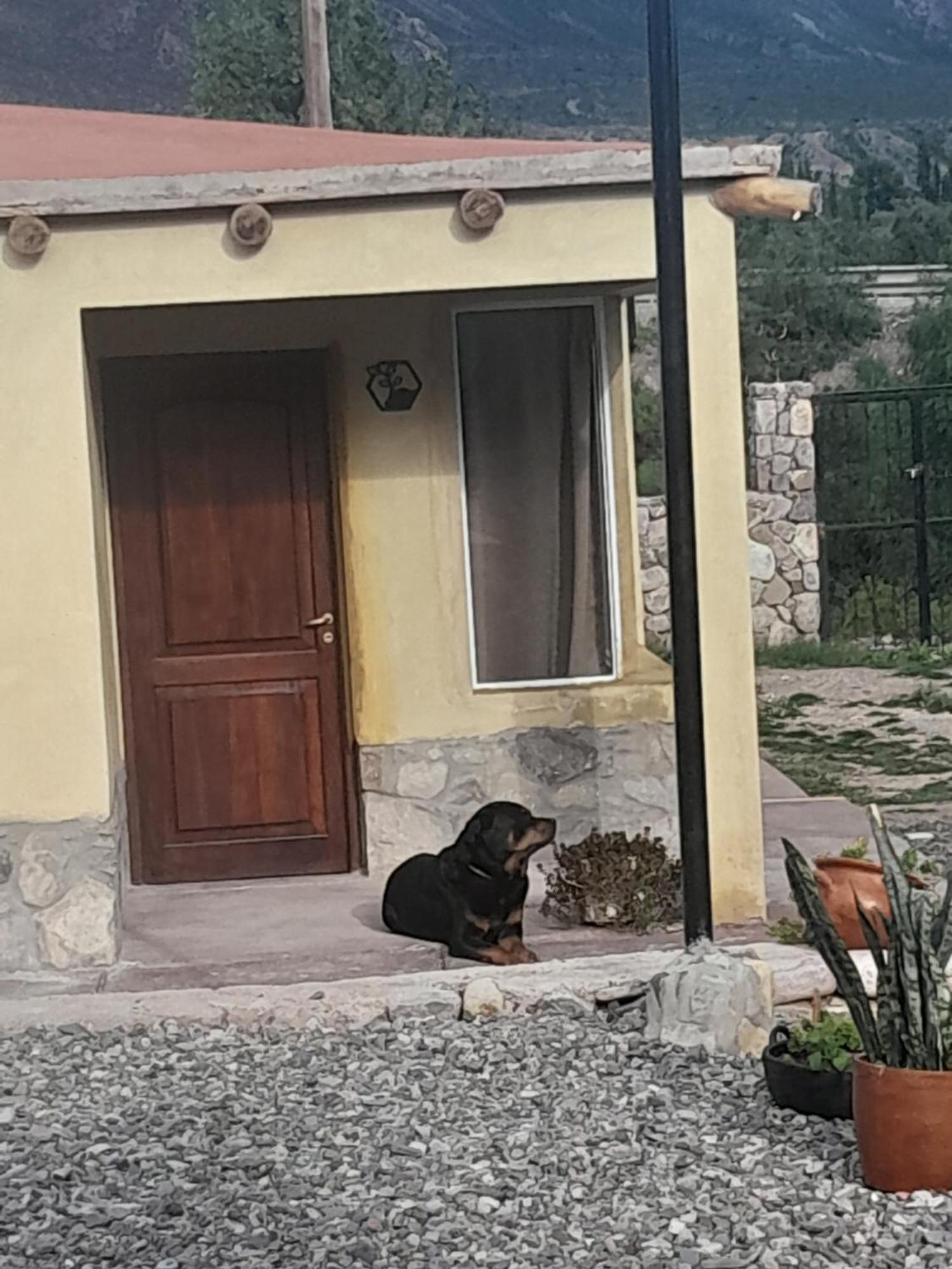 4 Elementos Villa Huacalera Dış mekan fotoğraf